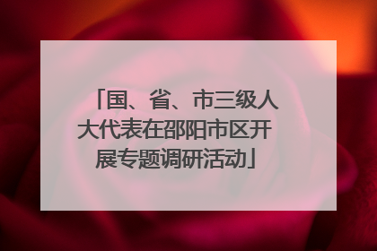 国、省、市三级人大代表在邵阳市区开展专题调研活动