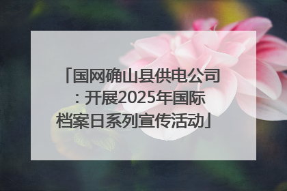 国网确山县供电公司：开展2025年国际档案日系列宣传活动