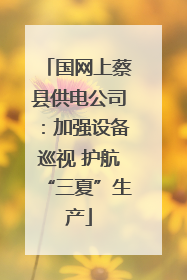 国网上蔡县供电公司：加强设备巡视 护航“三夏”生产