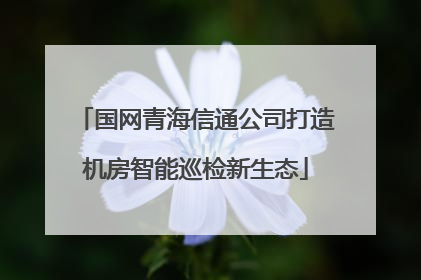 国网青海信通公司打造机房智能巡检新生态