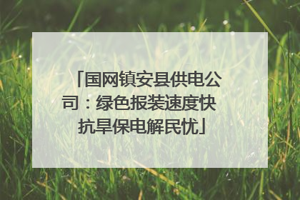 国网镇安县供电公司：绿色报装速度快 抗旱保电解民忧