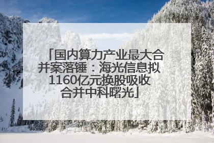 国内算力产业最大合并案落锤：海光信息拟1160亿元换股吸收合并中科曙光