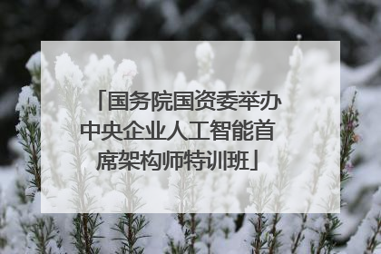 国务院国资委举办中央企业人工智能首席架构师特训班