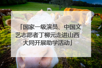 国家一级演员、中国文艺志愿者丁柳元走进山西大同开展助学活动