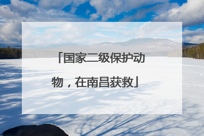 国家二级保护动物，在南昌获救