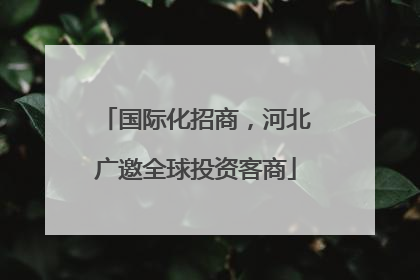 国际化招商，河北广邀全球投资客商