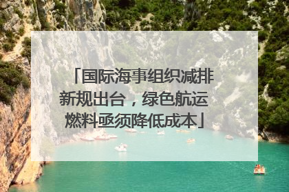 国际海事组织减排新规出台，绿色航运燃料亟须降低成本