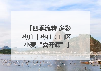 四季流转 多彩枣庄｜枣庄：山区小麦“喜开镰”