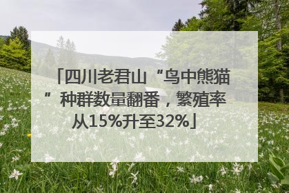 四川老君山“鸟中熊猫”种群数量翻番，繁殖率从15%升至32%