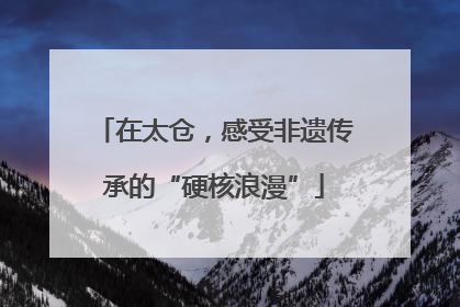 在太仓，感受非遗传承的“硬核浪漫”