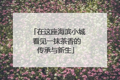 在这座海滨小城 看见一抹茶香的传承与新生