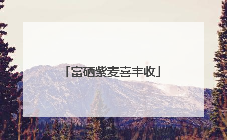 富硒紫麦喜丰收