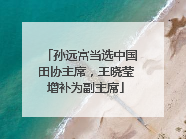 孙远富当选中国田协主席，王晓莹增补为副主席