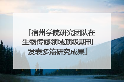 宿州学院研究团队在生物传感领域顶级期刊发表多篇研究成果