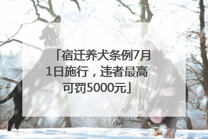 宿迁养犬条例7月1日施行，违者最高可罚5000元