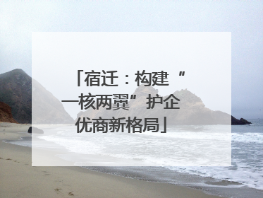 宿迁：构建“一核两翼”护企优商新格局