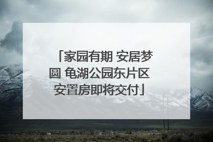 家园有期 安居梦圆 龟湖公园东片区安置房即将交付