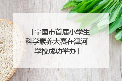 宁国市首届小学生科学素养大赛在津河学校成功举办