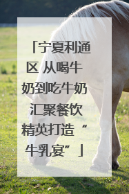 宁夏利通区 从喝牛奶到吃牛奶 汇聚餐饮精英打造“牛乳宴”