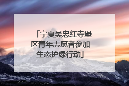 宁夏吴忠红寺堡区青年志愿者参加生态护绿行动
