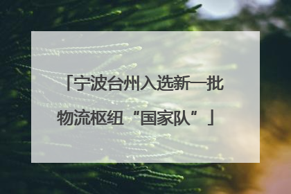 宁波台州入选新一批物流枢纽“国家队”