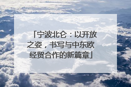 宁波北仑：以开放之姿，书写与中东欧经贸合作的新篇章