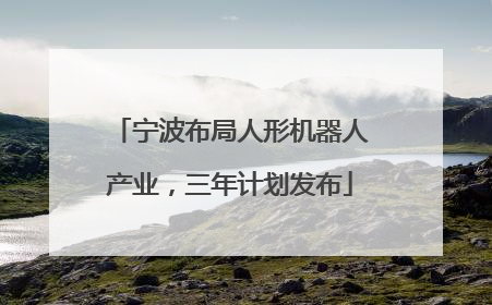 宁波布局人形机器人产业，三年计划发布