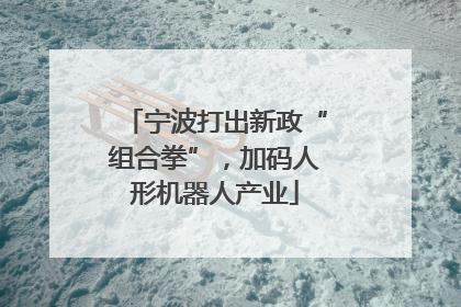 宁波打出新政“组合拳”，加码人形机器人产业