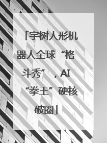 宇树人形机器人全球“格斗秀”，AI“拳王”硬核破圈