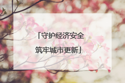 守护经济安全 筑牢城市更新