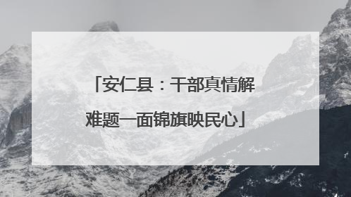 安仁县：干部真情解难题一面锦旗映民心