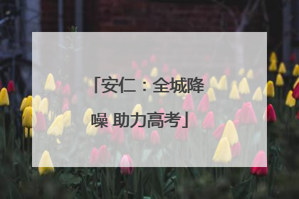 安仁：全城降噪 助力高考