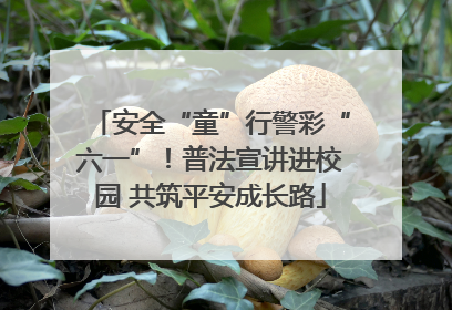 安全“童”行警彩“六一”！普法宣讲进校园 共筑平安成长路