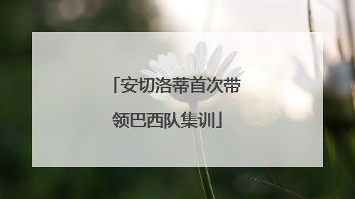 安切洛蒂首次带领巴西队集训