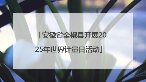 安徽省全椒县开展2025年世界计量日活动