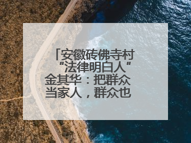 安徽砖佛寺村“法律明白人”金其华：把群众当家人，群众也把我当亲人