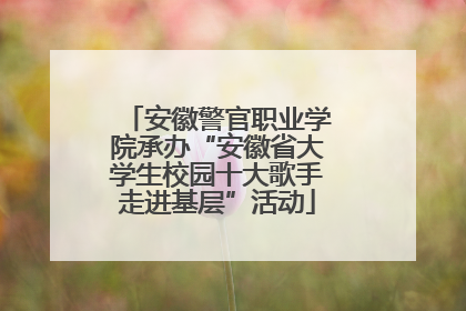 安徽警官职业学院承办“安徽省大学生校园十大歌手走进基层”活动
