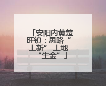 安阳内黄楚旺镇：思路“上新” 土地“生金”