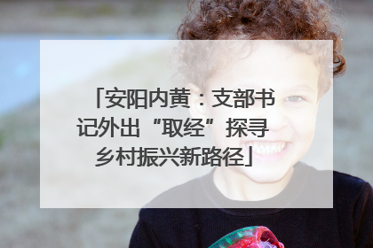 安阳内黄：支部书记外出“取经”探寻乡村振兴新路径