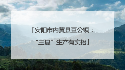 安阳市内黄县豆公镇：“三夏”生产有实招