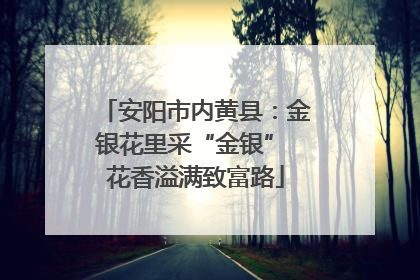 安阳市内黄县：金银花里采“金银” 花香溢满致富路