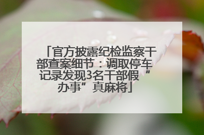 官方披露纪检监察干部查案细节：调取停车记录发现3名干部假“办事”真麻将