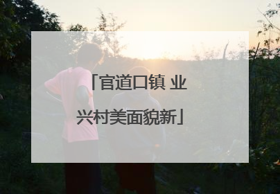 官道口镇 业兴村美面貌新