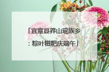 宜章县莽山瑶族乡：粽叶糍粑庆端午