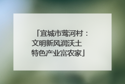 宜城市莺河村：文明新风润沃土 特色产业富农家
