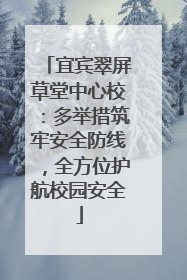 宜宾翠屏草堂中心校：多举措筑牢安全防线，全方位护航校园安全
