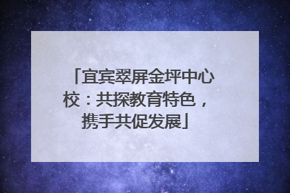 宜宾翠屏金坪中心校：共探教育特色，携手共促发展