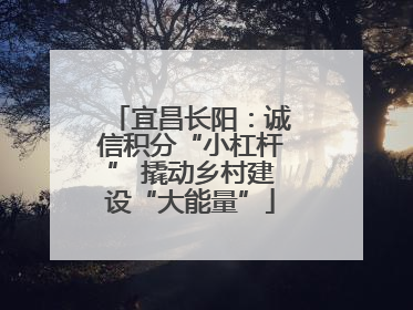 宜昌长阳：诚信积分“小杠杆” 撬动乡村建设“大能量”
