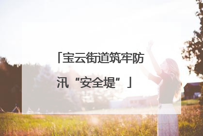宝云街道筑牢防汛“安全堤”