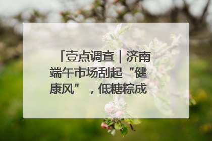 壹点调查｜济南端午市场刮起“健康风”，低糖粽成消费者“新宠”